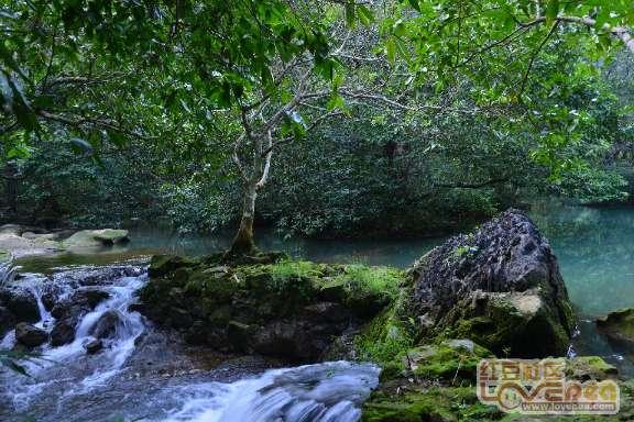 离婚不离家五年以后自动复婚吗?-专业问答交流平台